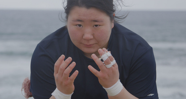 little miss sumo